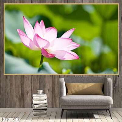 Tranh treo tường hoa sen cá koi, cá chép trang trí phòng khách, quà tặng tân gia