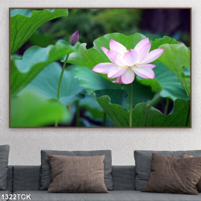 Tranh treo tường hoa sen cá koi, cá chép trang trí phòng khách, quà tặng tân gia